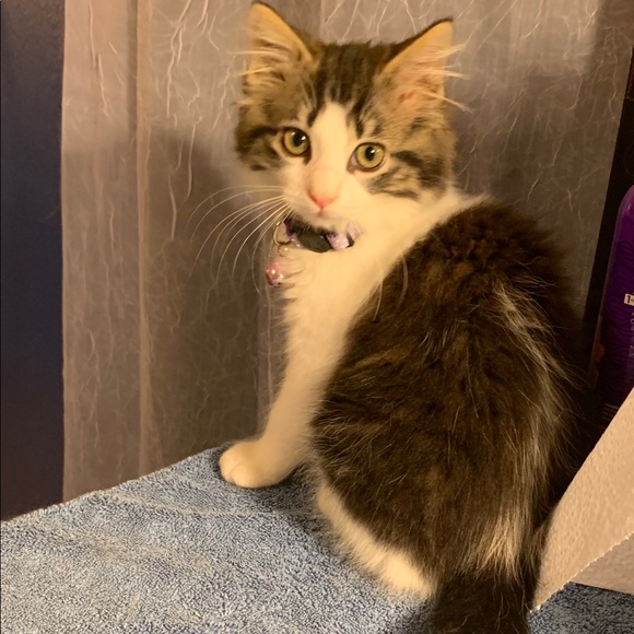 Meet your Posher, Kim - Picture 7 of 16